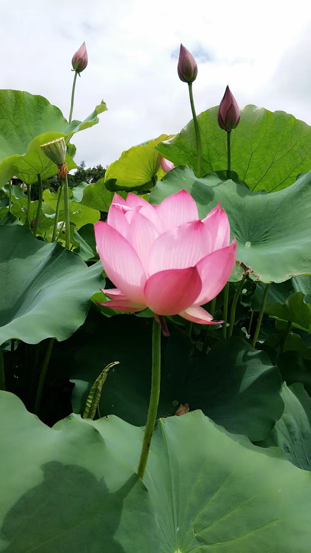 http://www.shhetao.cn/hsdt/221.html
